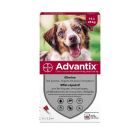 Advantix chien moyen (10-25 kg) - 6 pipettes- La Compagnie des Animaux