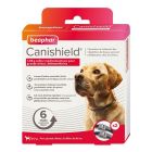 Beaphar Canishield collier grand chien contre les puces, tiques et moustiques 65 cm x2- La Compagnie des Animaux