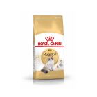 Royal Canin Chat Adult Ragdoll 2 kg- La Compagnie des Animaux