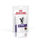 Royal Canin Pill Assist Gatto