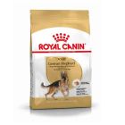 Royal Canin Berger Allemand Adult 11 kg - La Compagnie des Animaux