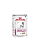 Royal Canin Vet Dog Cardiac 12 x 410 g