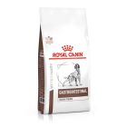 Royal Canin Vet Chien Gastrointestinal High Fibre 2 kg