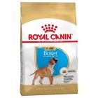 Royal Canin Boxer Junior - La Compagnie des Animaux