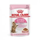 Royal Canin Kitten Sterilised 12 x 85 grs - La Compagnie des Animaux