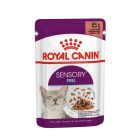 Royal Canin Sensory Feel straccetti in salsa per Gatto 12 x 85 g