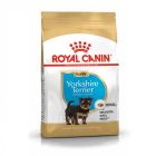 Royal Canin Yorkshire Terrier Puppy - La Compagnie des Animaux