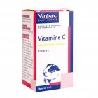 Virbac Vitamine C Cobaye 250 ml - La Compagnie des Animaux