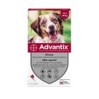 Advantix chien moyen (10 - 25 kg) - 4 pipettes- La Compagnie des Animaux