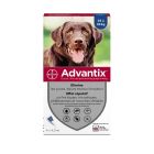 Advantix grand chien (25 - 40 kg) - 4 pipettes- La Compagnie des Animaux