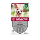 Advantix très petit chien (1,5-4 kg) - 6 pipettes- La Compagnie des Animaux