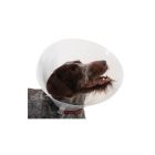 Carcan classique pour chiens et chats - 35 cm - La compagnie des animaux