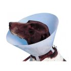 Carcan classique pour chiens et chats - 30 cm - La compagnie des animaux