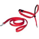 Easy Walk Licol Chien rouge M - La Compagnie des Animaux