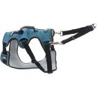 I-DOG Harnais Confort Bleu/Gris S - La Compagnie des Animaux