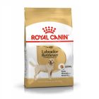 Royal Canin Labrador Adult - La Compagnie des Animaux