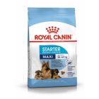 Royal Canin Maxi Starter Mother and Babydog - La Compagnie des Animaux