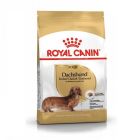 Royal Canin Teckel Adult - La Compagnie des Animaux