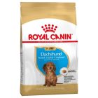Royal Canin Teckel Junior 1.5 kg - La Compagnie des Animaux