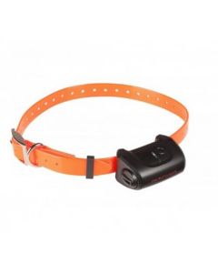 Collier seul Canicom 5 avec sangle orange - La Compagnie des Animaux