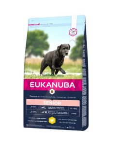 Eukanuba Senior Large Breed per Cane 15 kg