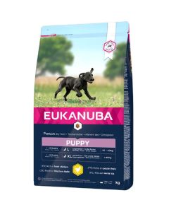 Eukanuba Growing Puppy Large Breed  con Pollo 12 kg