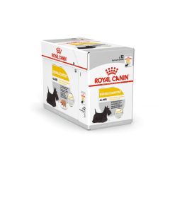 Royal Canin Canine Care Nutrition Dermacomfort mousse - La Compagnie des Animaux