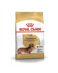 Royal Canin Teckel Adult - La Compagnie des Animaux
