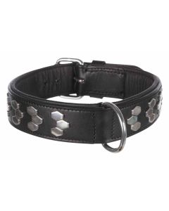 Trixie Active Collier avec rivets - La Compagnie des Animaux