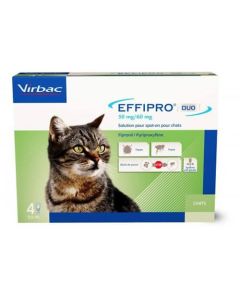 Effipro Gatto 4 pipette