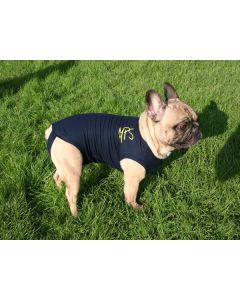 Medical Pet Shirt Cane L